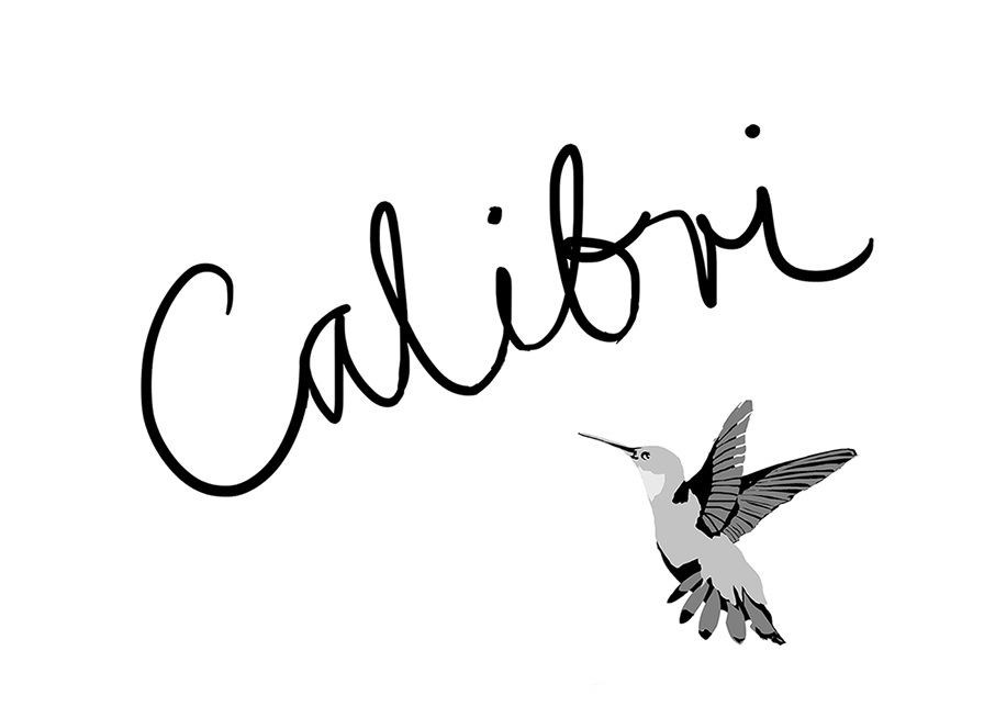 buy calibri font download free